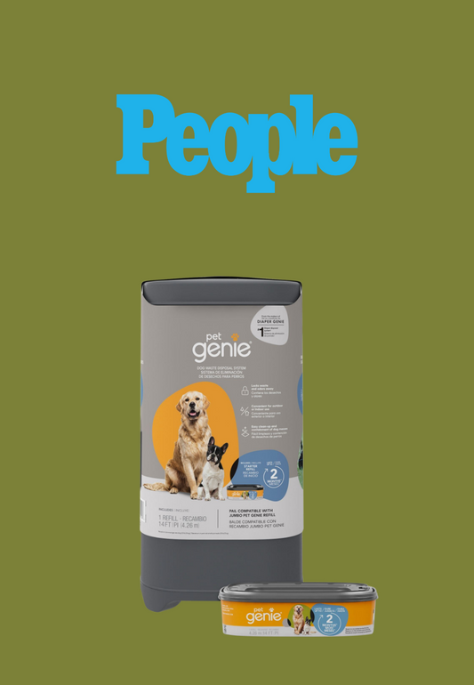 The Best Dog Supplies of 2024, Tested by Real Dog Owners