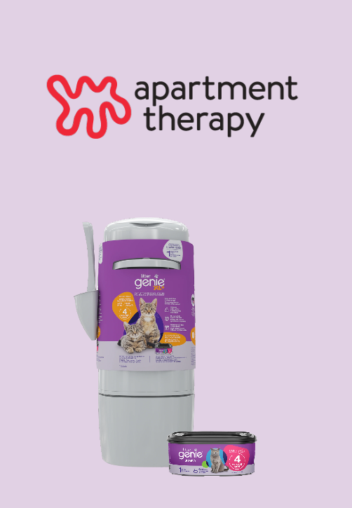Ingenious Device That Eliminates Kitty Litter Odors
